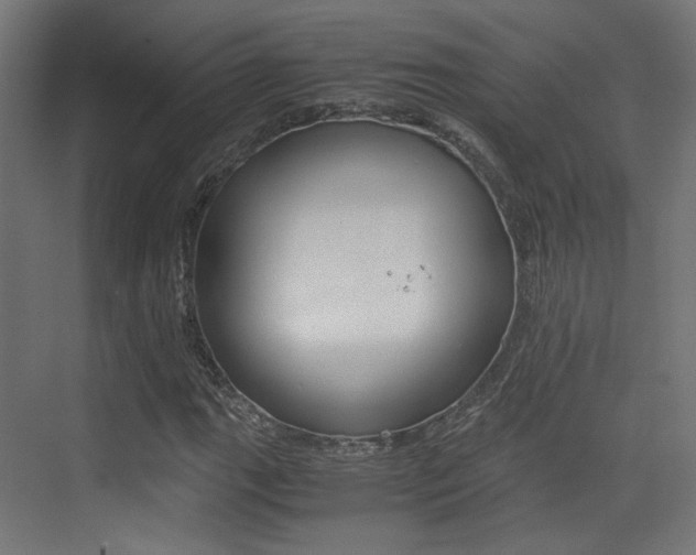 X0000075411111200609080954