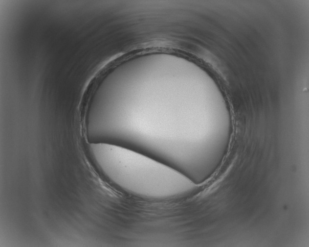 X0000075411117200609080954
