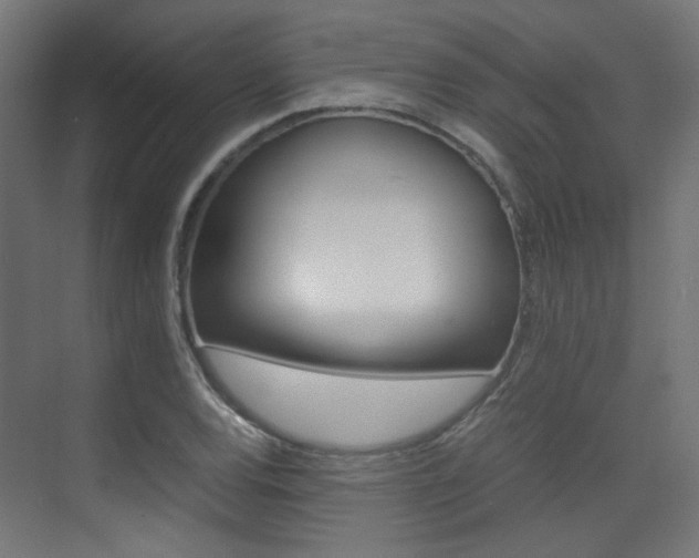 X0000075411120200609080954