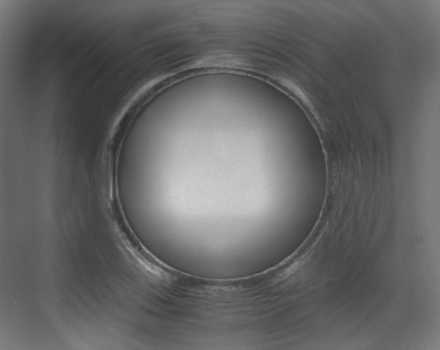 X0000075411123200609080954