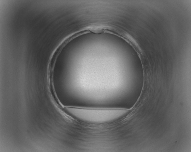 X0000075411124200609080954