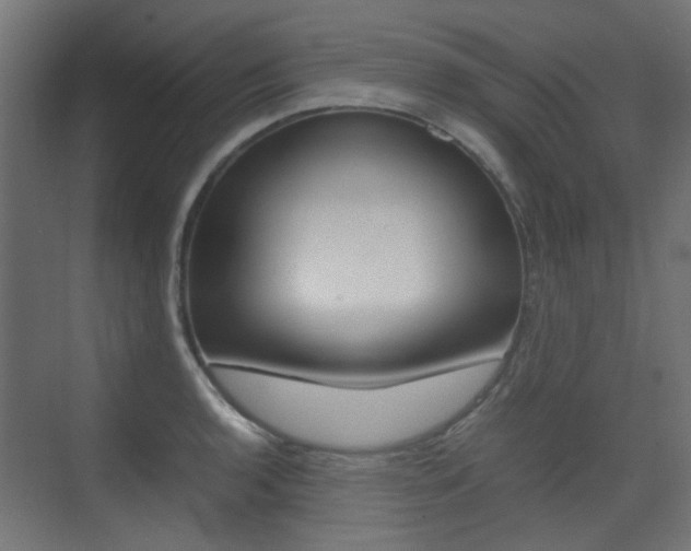 X0000075411136200609080955