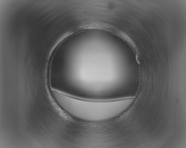 X0000075411138200609080955