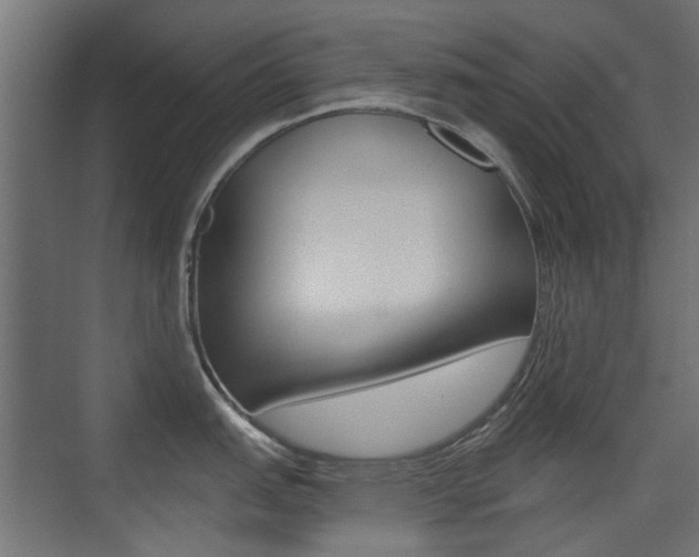 X0000075411151200609080955