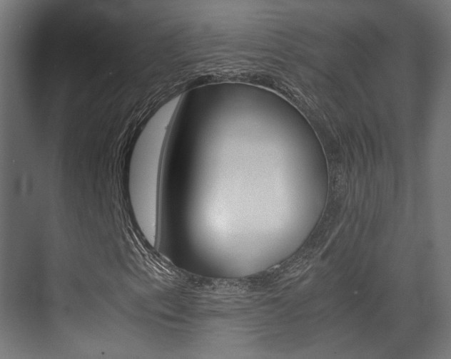 X0000075411153200609080954