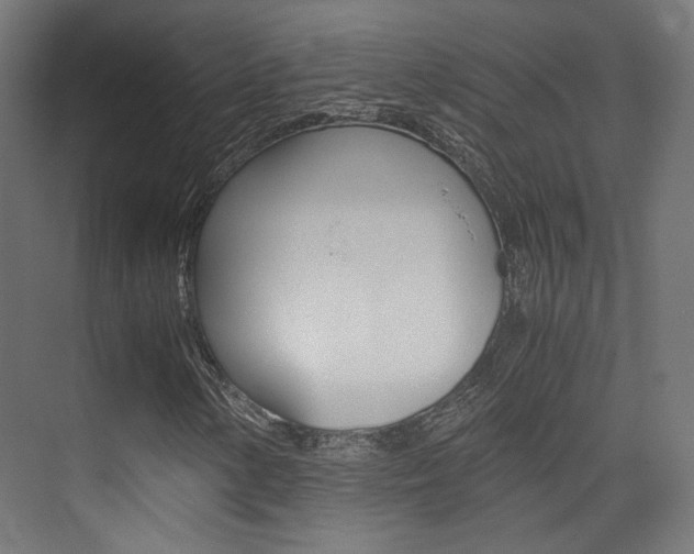 X0000075411154200609080954