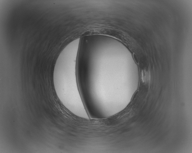 X0000075411155200609080954