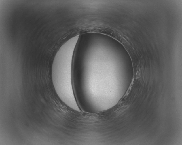 X0000075411156200609080954