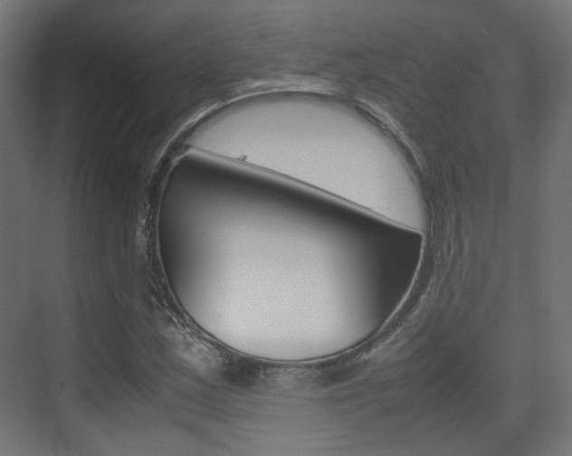 X0000075411163200609080954
