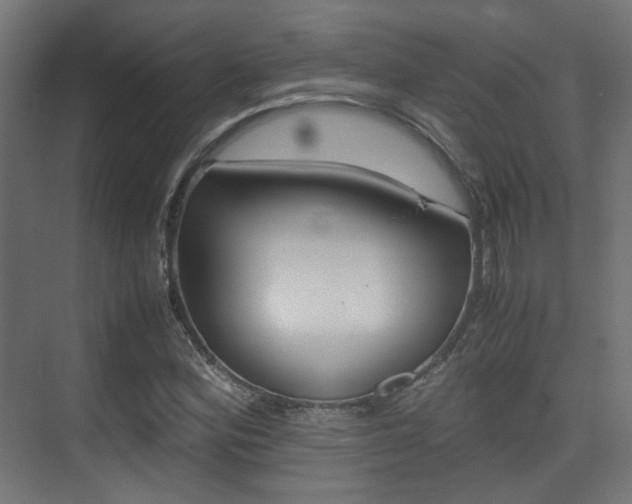 X0000075411164200609080954