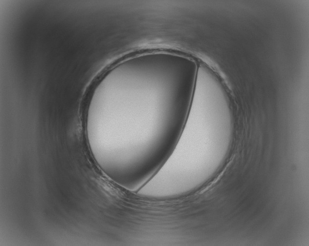 X0000075411167200609080954
