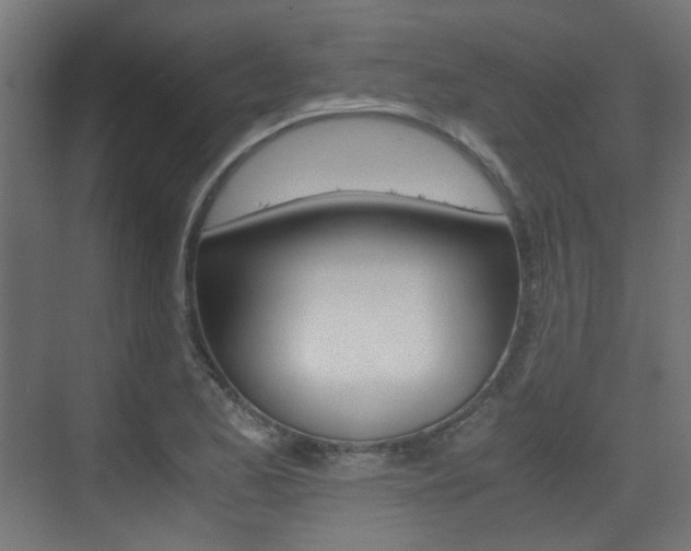 X0000075411173200609080954
