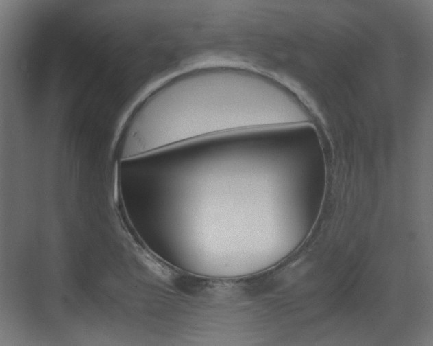 X0000075411175200609080954