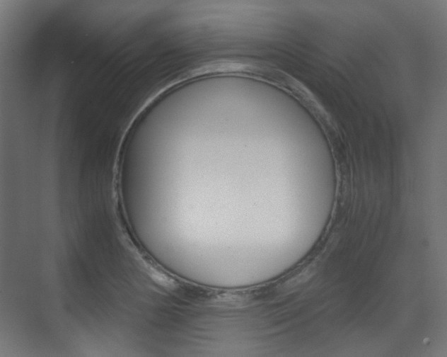 X0000075411178200609080954