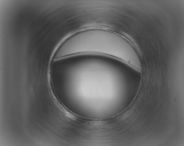X0000075411188200609080954