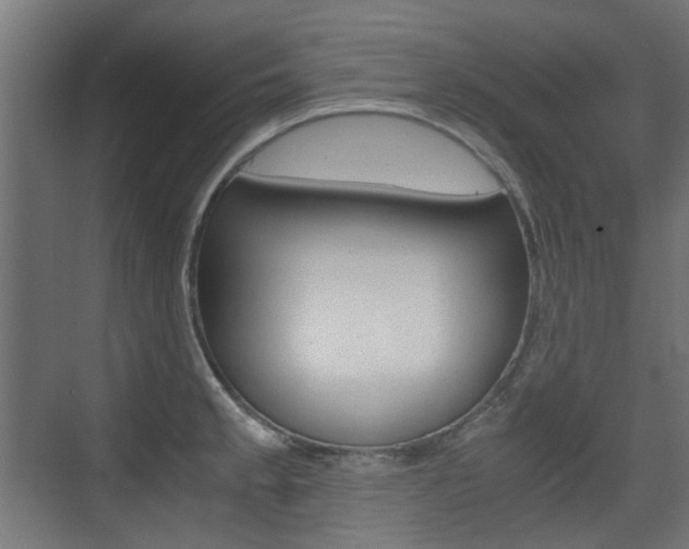 X0000075411189200609080954