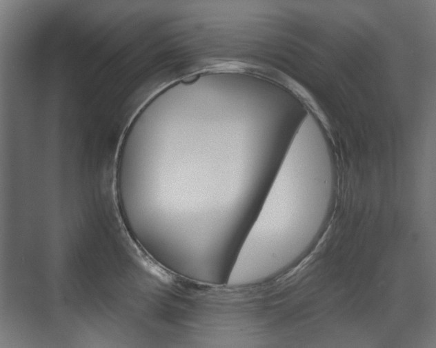 X0000075411194200609080953