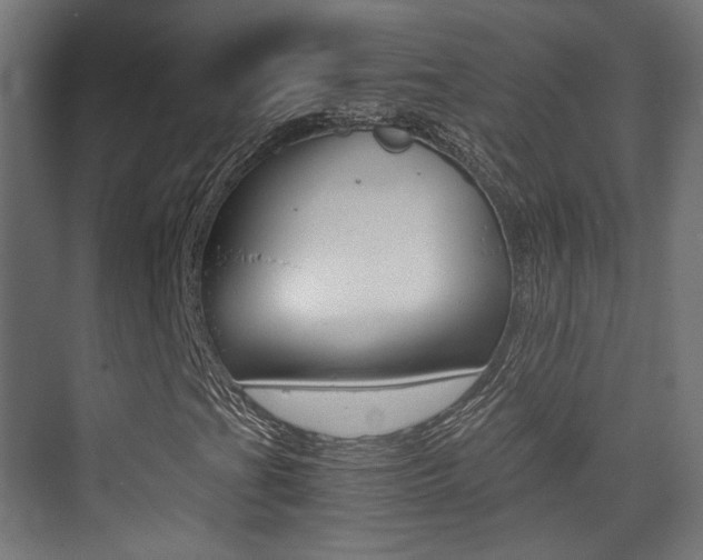 X0000075411201200609080953