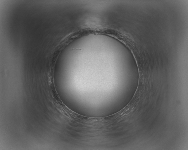 X0000075411205200609080953