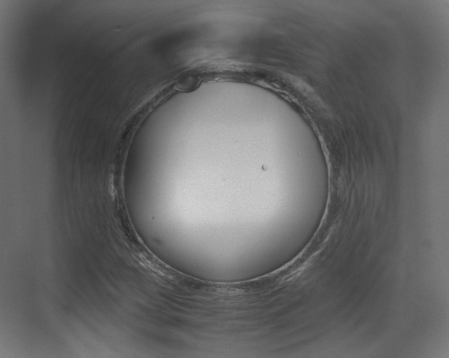 X0000075411209200609080953