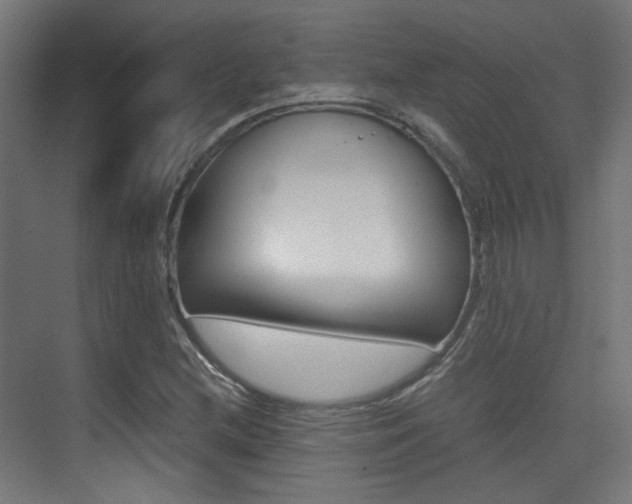 X0000075411212200609080953