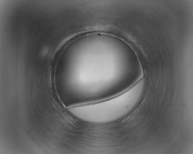 X0000075411214200609080953