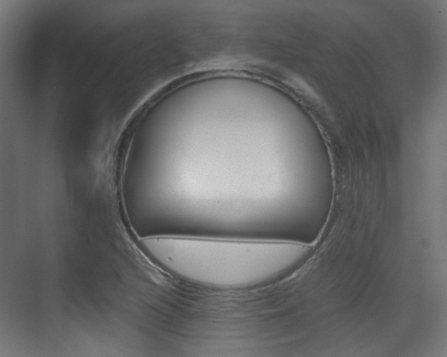 X0000075411216200609080953