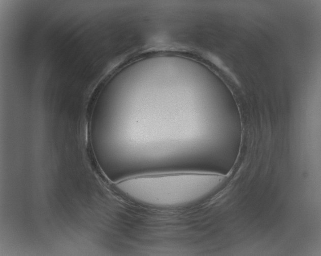 X0000075411221200609080953