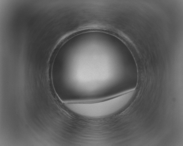 X0000075411222200609080953