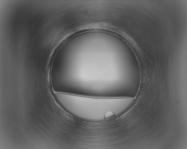 X0000075411224200609080953