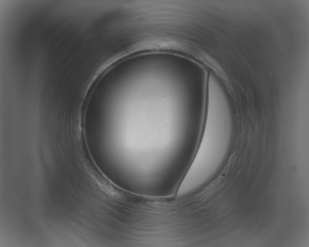 X0000075411226200609080953
