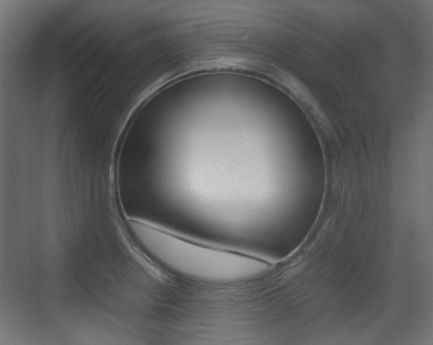 X0000075411234200609080953
