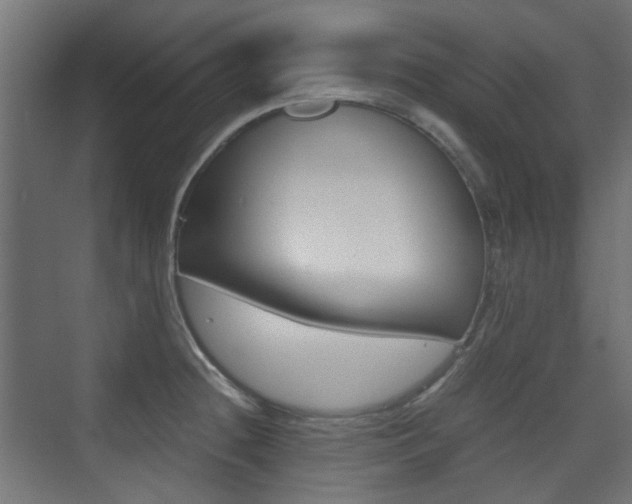 X0000075411236200609080953