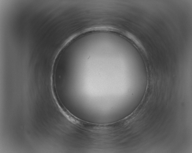 X0000075411237200609080953
