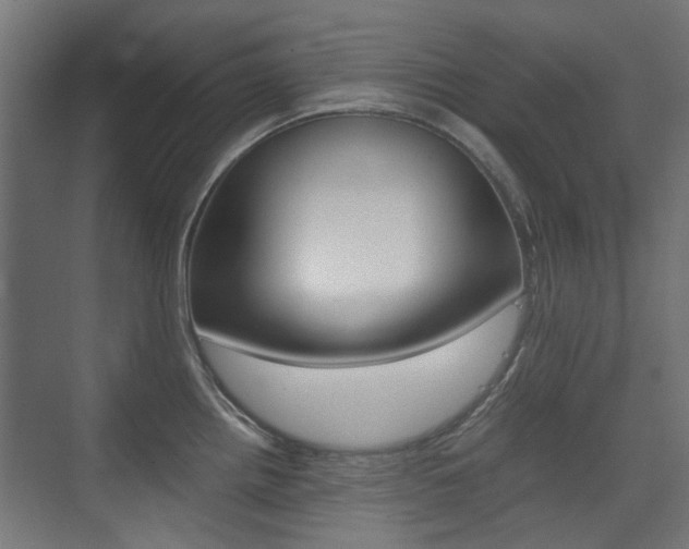 X0000075411242200609080953