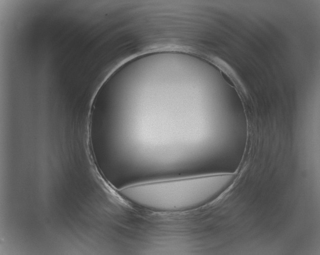 X0000075411244200609080953