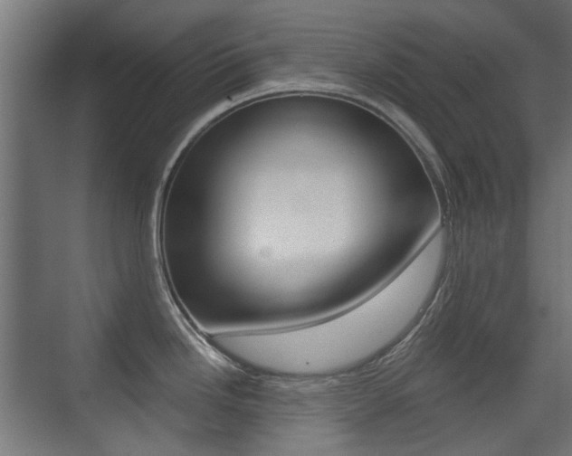 X0000075411246200609080953