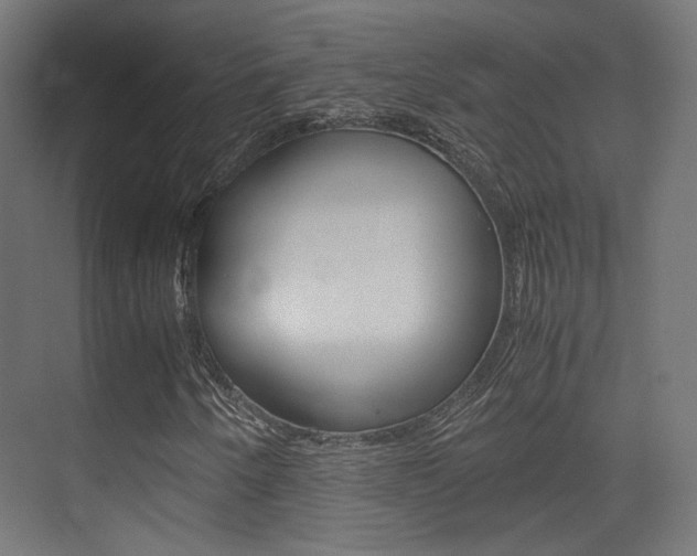 X0000075411250200609080952