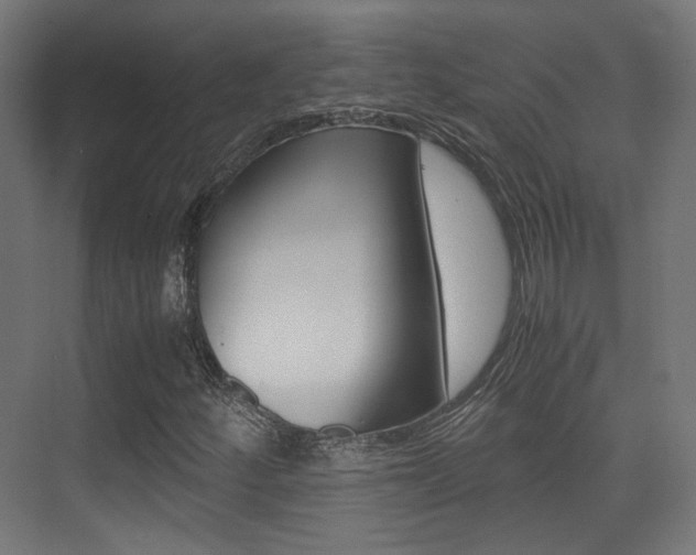 X0000075411252200609080952