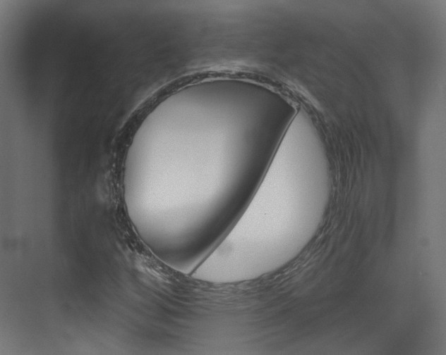 X0000075411256200609080952