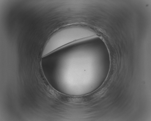 X0000075411257200609080952