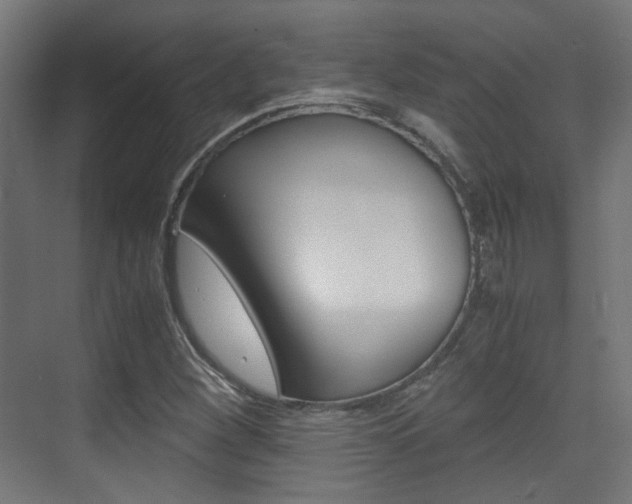 X0000075411260200609080952