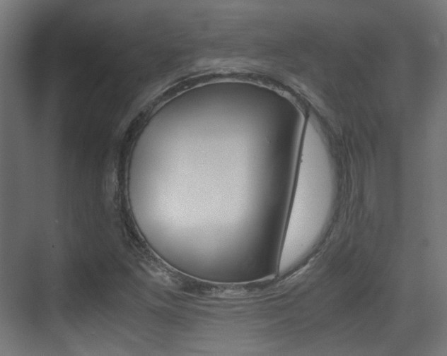 X0000075411261200609080952