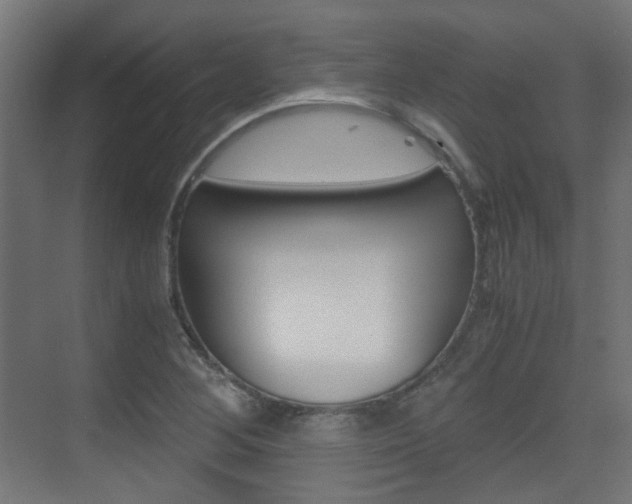 X0000075411268200609080952