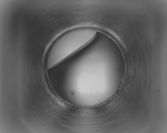 X0000075411270200609080952