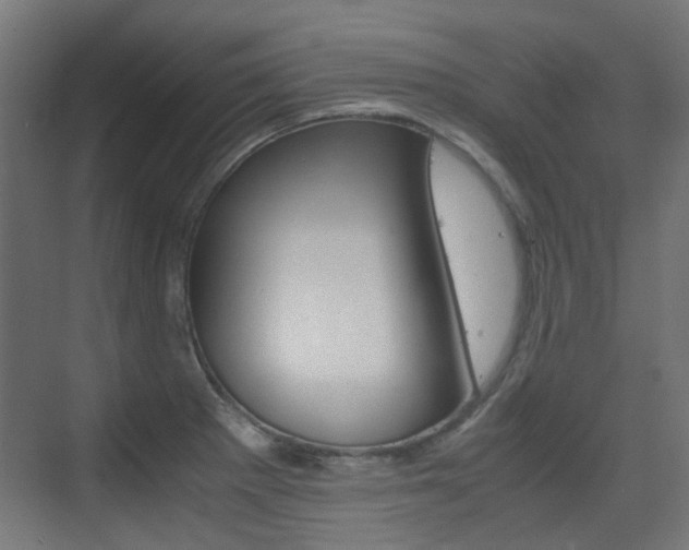 X0000075411281200609080952