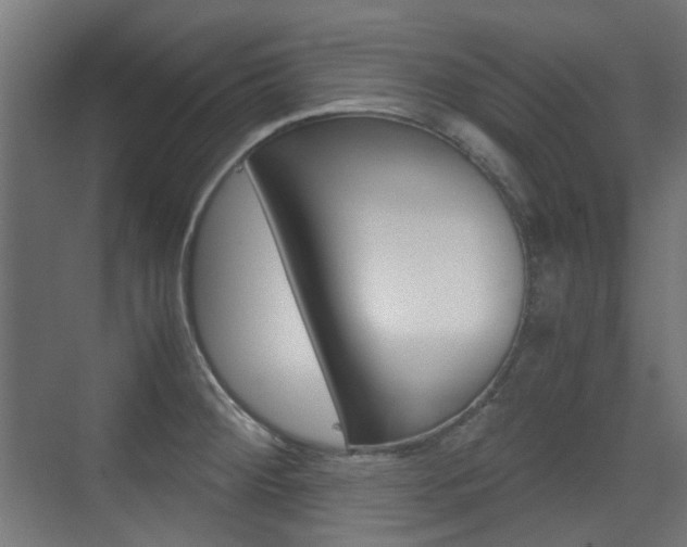 X0000075411284200609080952