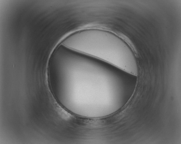 X0000075411288200609080952