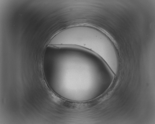 X0000075411289200609080952