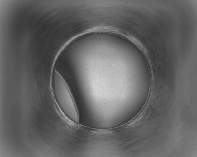 X0000075411296200609080952